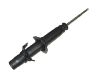 Stoßdämpfer Shock Absorber:51605-SM5-A02