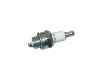 Bujia Spark Plug:7021 BPM6A