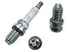 Spark Plug:101905616