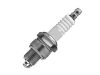 Bougie d'allumage Spark Plug:460540