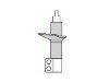 Shock Absorber:71713674