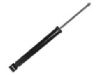 Stoßdämpfer Shock Absorber:8Z0 513 025 J