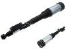 Amortiguador Shock Absorber:220 320 50 13