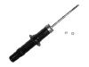 Stoßdämpfer Shock Absorber:341604